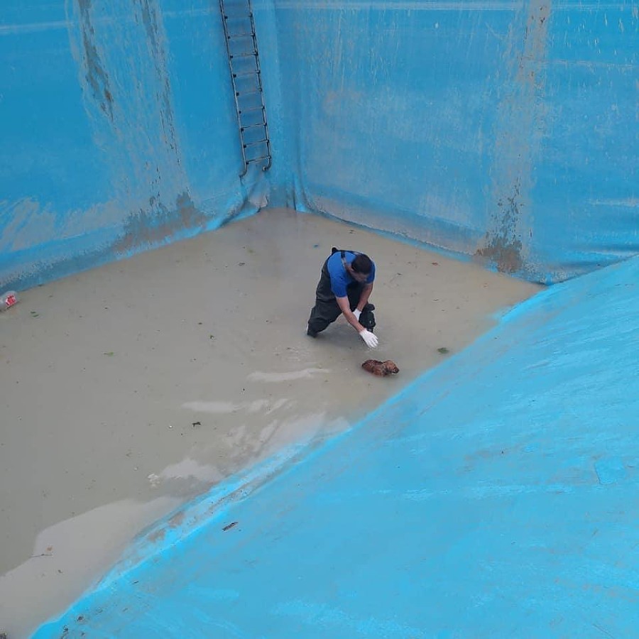  ������������� ������ ����� ��� �������� 