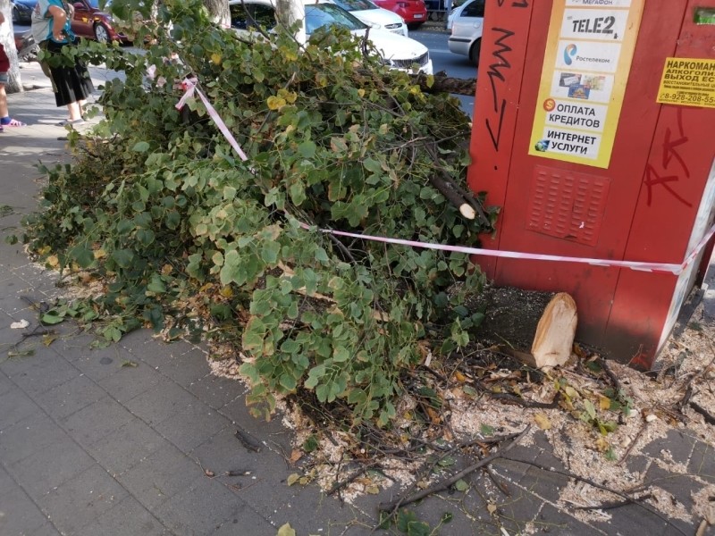  media yuga https hspace left align vspace 