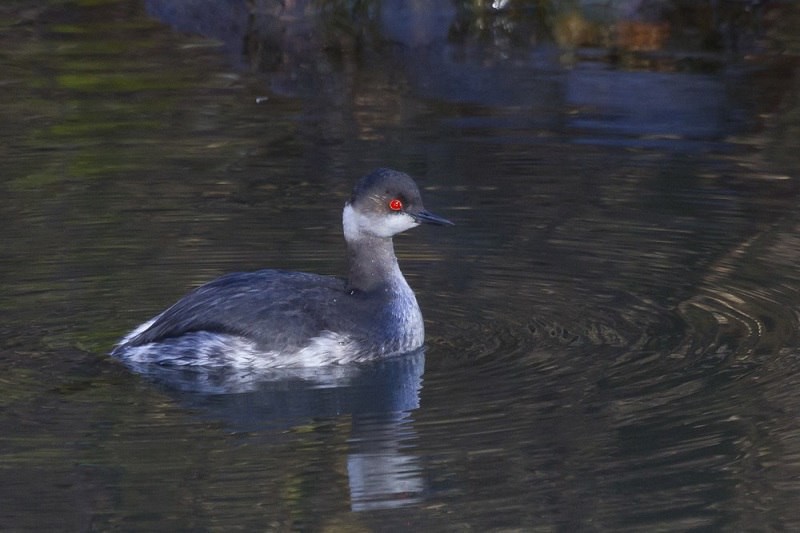  ���� ���� 