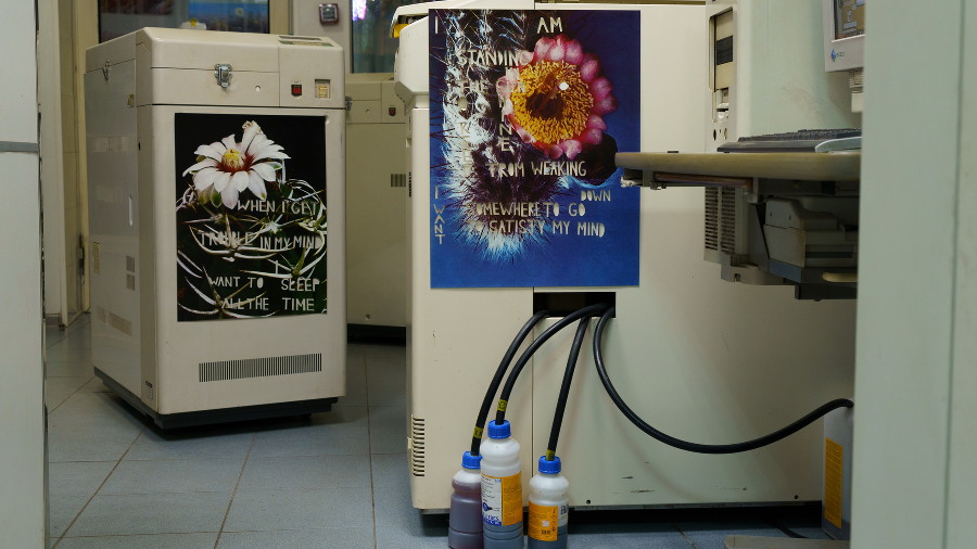 ����: yuga.ru