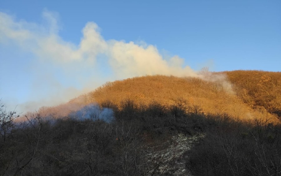 В Туапсинском районе потушили пожар, в котором сгорело около 10 га леса