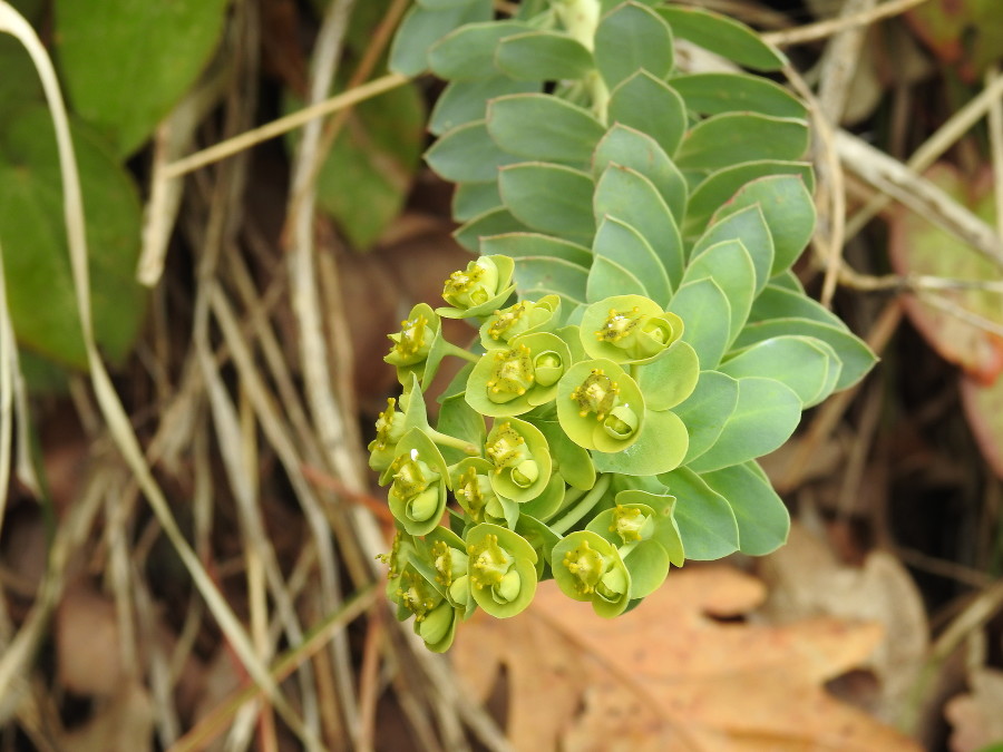 ����: yuga.ru