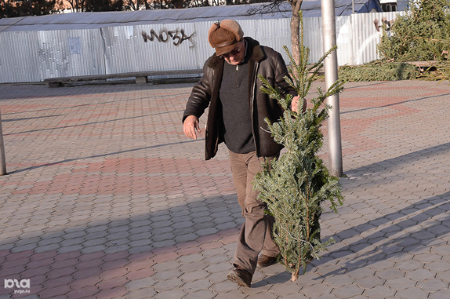 В Краснодарском крае можно сдать ёлку на переработку. Рассказываем, где и как