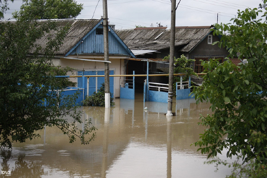  ����� ������ 