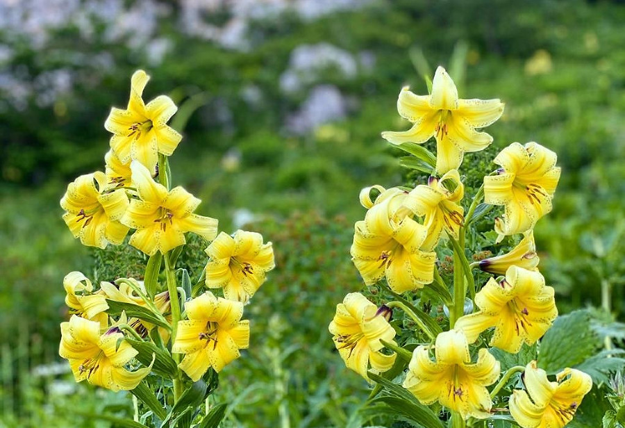 ����: yuga.ru