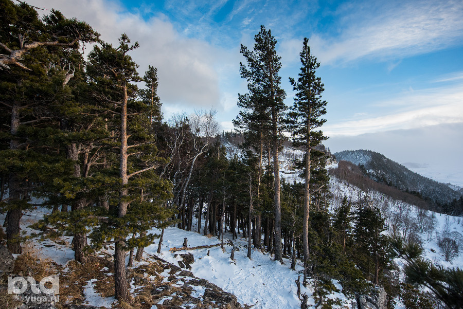  ������ 2023 ������������� ���� �������� �������� �������� 