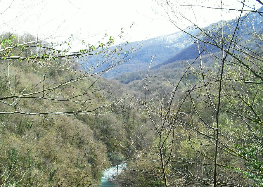  ���� ���� ��������� ������� 