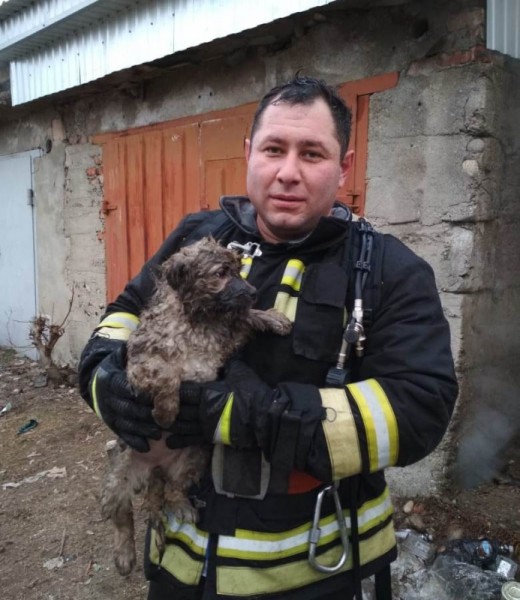 Пожарный спас щенка из горящей смотровой ямы в Баксане