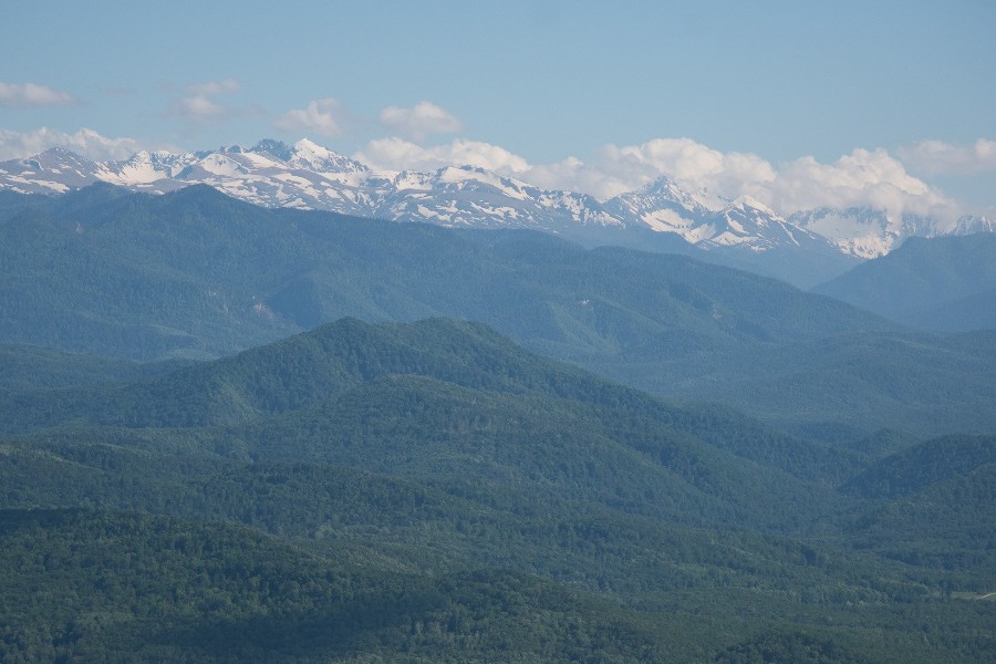  ������������� ���� ������ ������ ������������ ���������� 