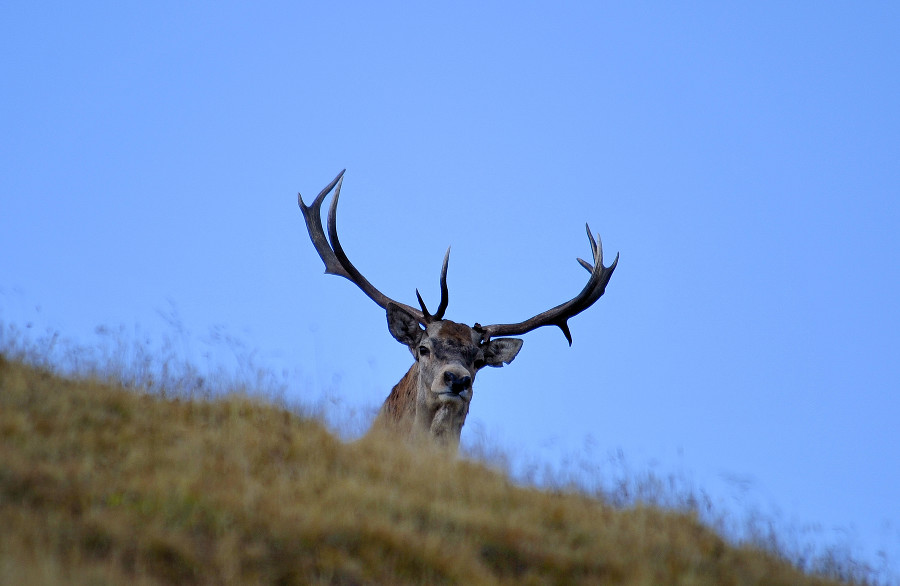 ����: yuga.ru