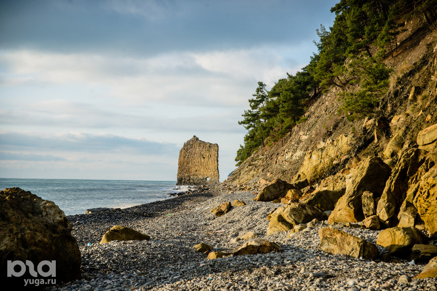  ���������� ������� ��������� ����� 