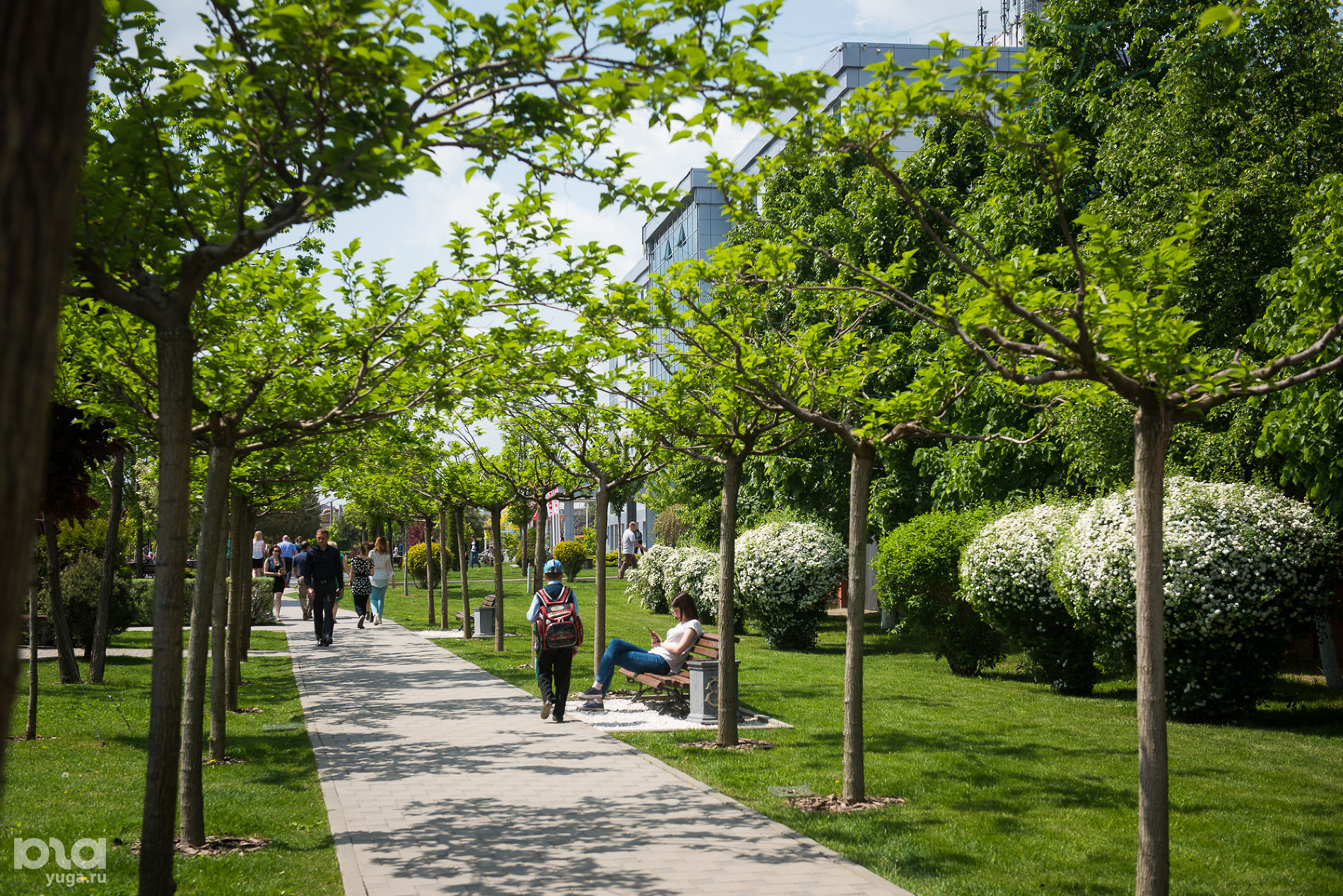 Сквер Солнечный бульвар Краснодар