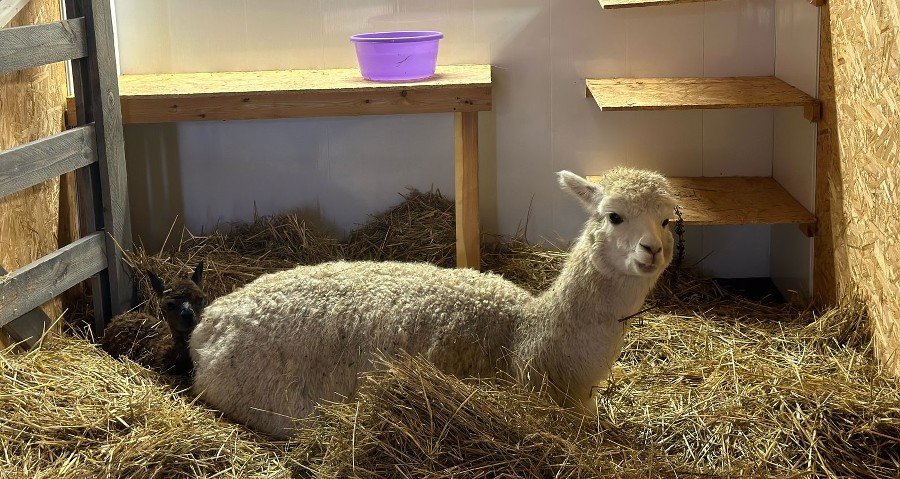  ���� ������ ����� ���� ����� ������� ������ 