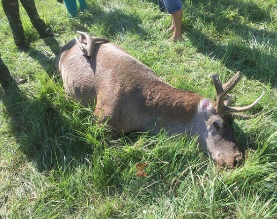  ����� ������ ����� 