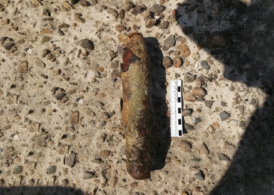  ����� ���� 