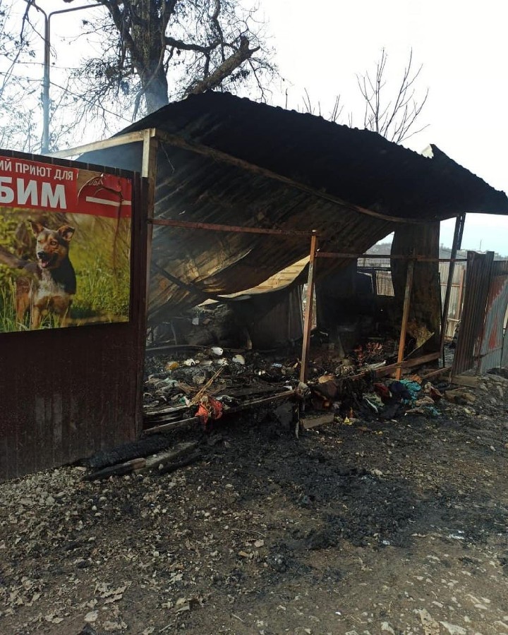  �������� ������� ������ �������� ������ ���� 