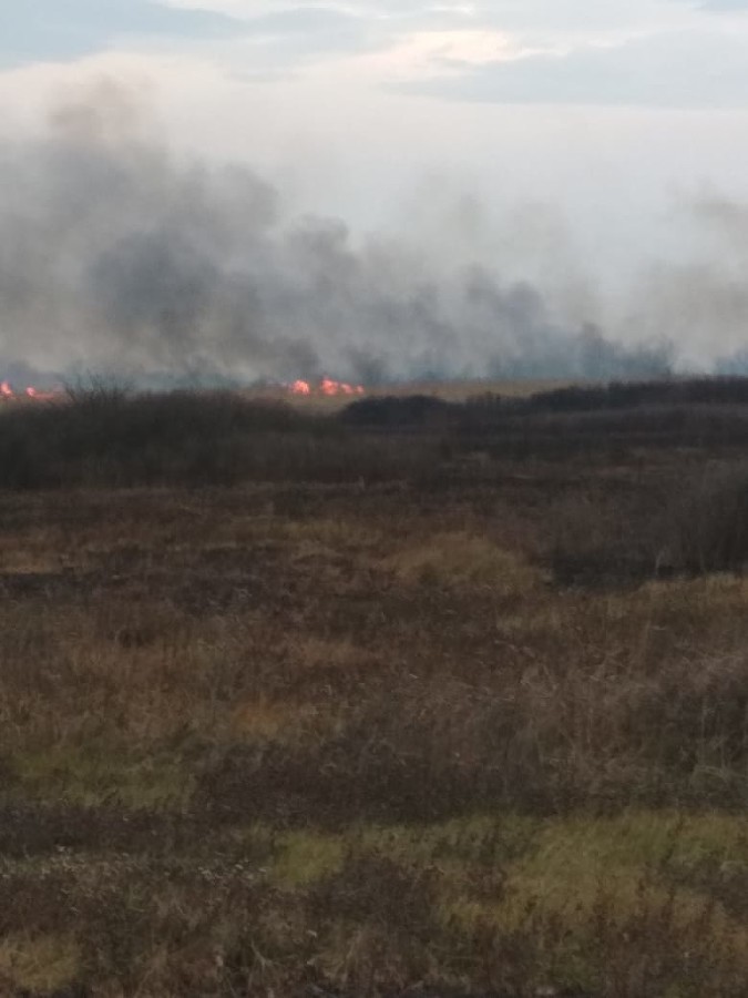  yuga media hspace left align vspace https pozhar 