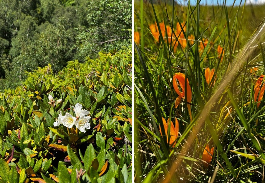 ����: yuga.ru