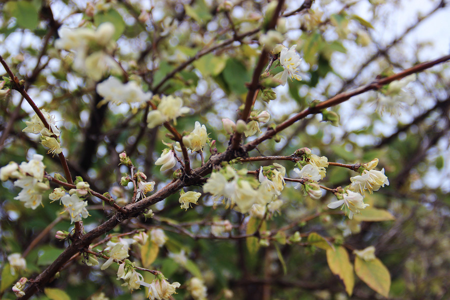  media yuga https hspace left align vspace �������� 