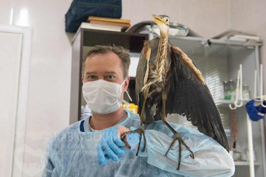  ���������� ����������� ����� ������� �������� ��������� ����� 