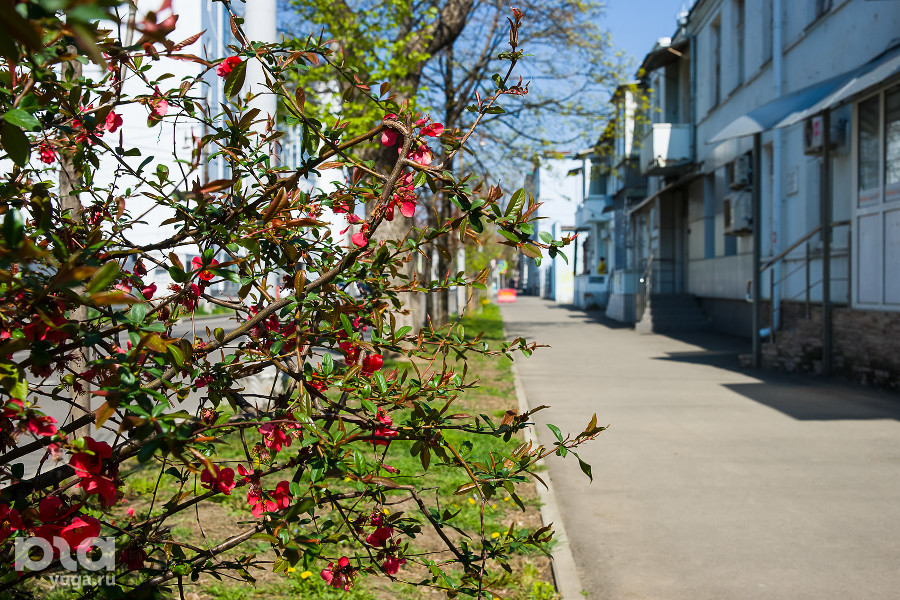 ����: yuga.ru