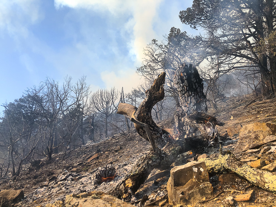  ����� ������ ����������� ����� ������� ������ 