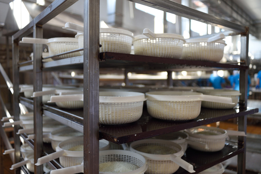 В Адыгее для роста объемов адыгейского сыра модернизируют молзаводы