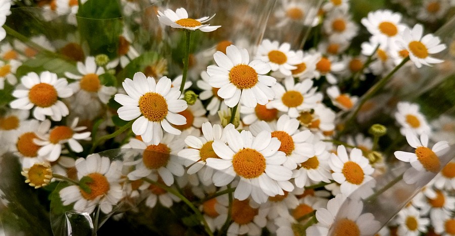 ����: yuga.ru