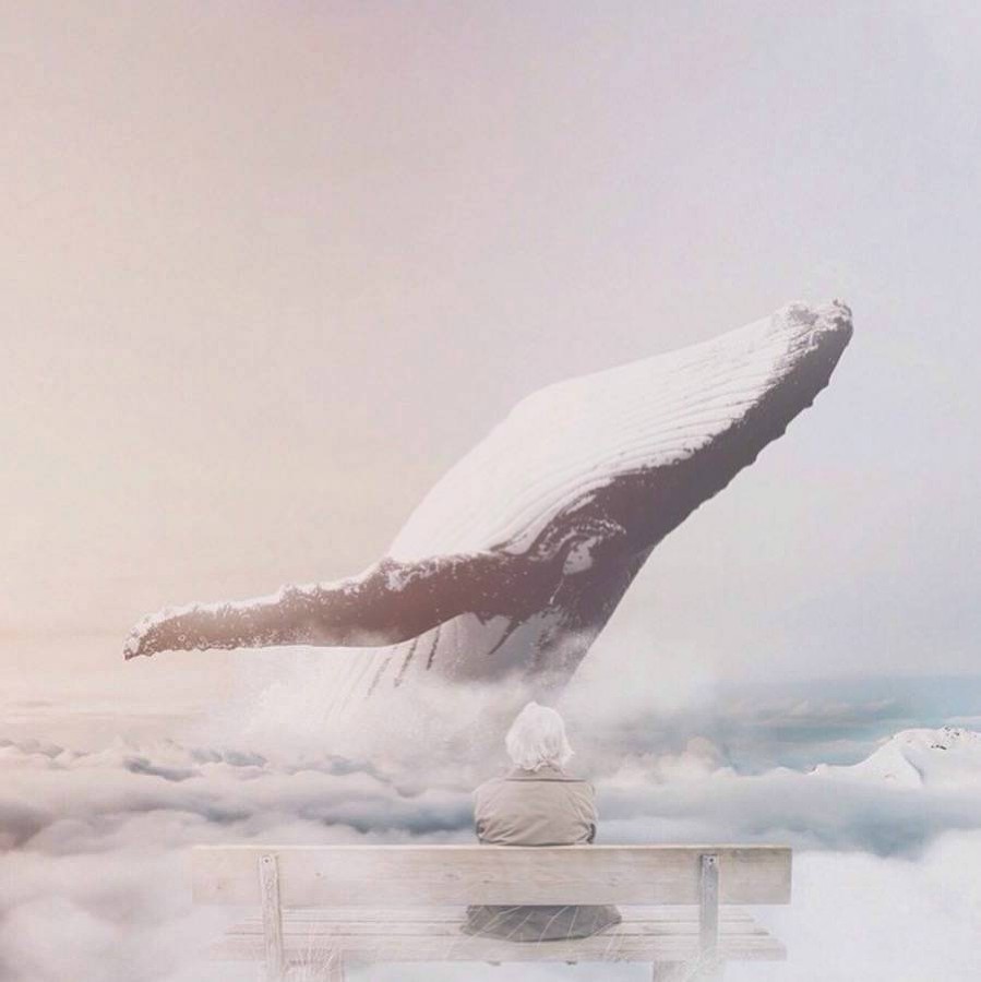 ����: yuga.ru