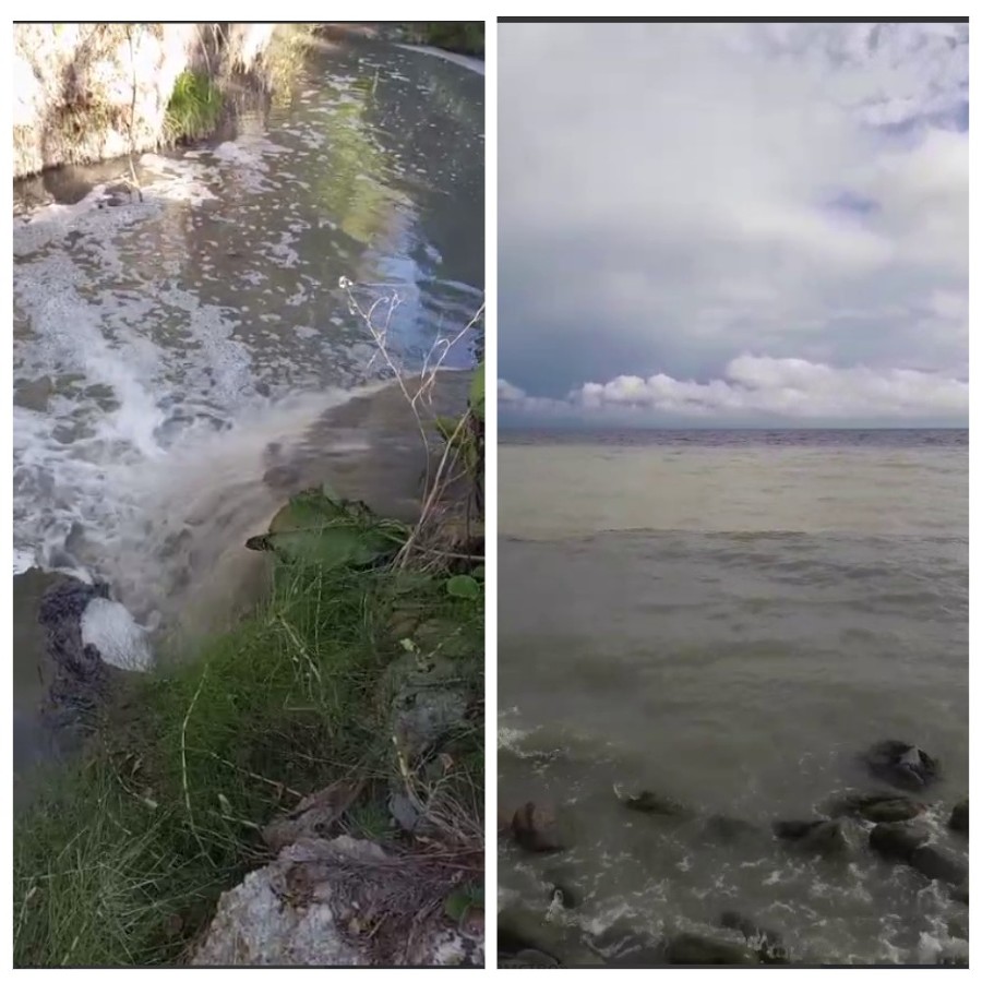  ������ ������������� ������������ ����������� ���� �������� ������ �������� 