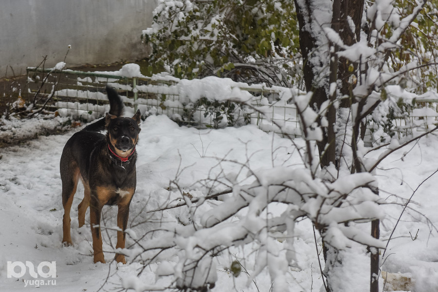 ����: yuga.ru