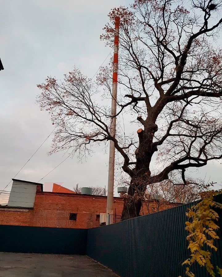  media yuga https hspace left align vspace 