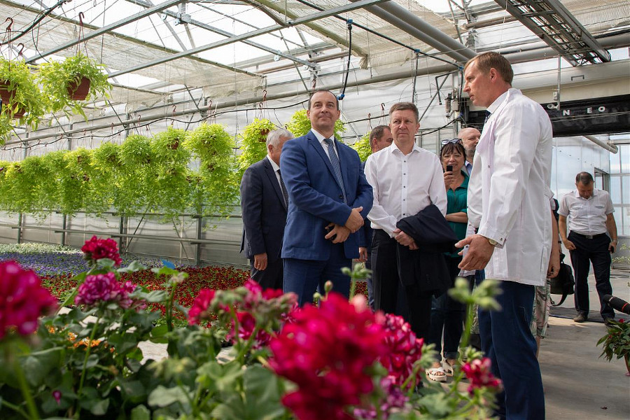  media yuga custom left align vspace hspace https 