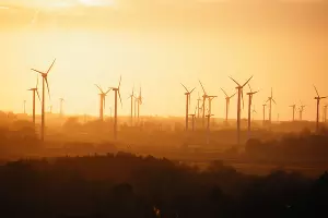  &copy;&nbsp;Фото с сайта pixabay.com