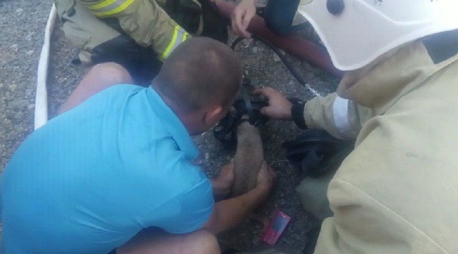  © Скриншот видео пресс-службы ГУ МЧС России по Краснодарскому краю