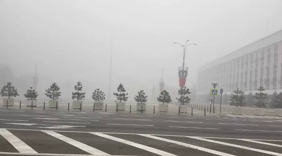  &copy;&nbsp;Скриншот фото из телеграм-канала &laquo;Трамвай лета&raquo;