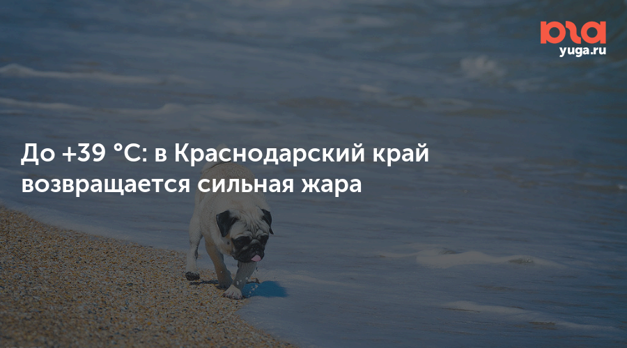 До +39 °C: в Краснодарский край возвращается сильная жара