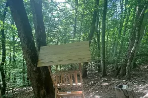  &copy;&nbsp;Фото пресс-службы курорта &laquo;Роза Хутор&raquo;