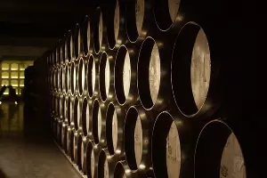  &copy;&nbsp;Фото пресс-службы &laquo;Фанагории&raquo;