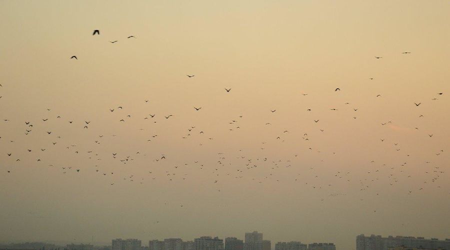  © Фото Евгения Таранжина