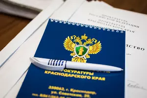  &copy;&nbsp;Фото Елены Синеок, Юга.ру