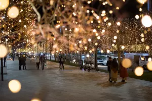 Парк «Краснодар» &copy;&nbsp;Фото Елены Синеок, Юга.ру