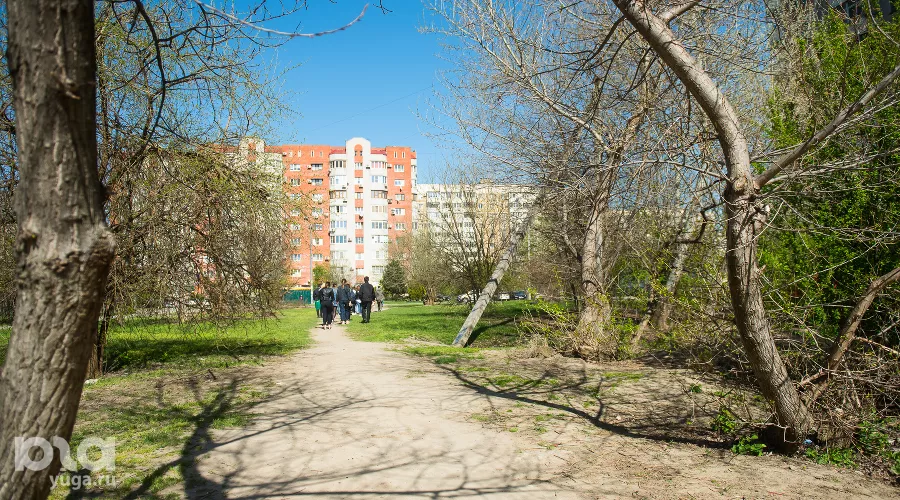  &copy;&nbsp;Фото Елены Синеок, Юга.ру