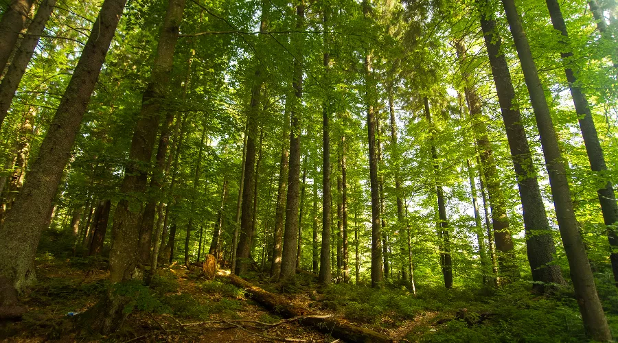  &copy;&nbsp;Фото пользователя @master1305 с сайта ru.freepik.com