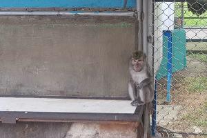  &copy;&nbsp;Фото пресс-службы Южного таможенного управления