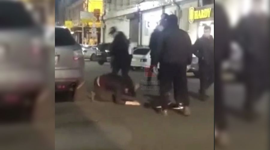  &copy;&nbsp;Скриншот видео из телеграм-канала &laquo;Типичный Краснодар&raquo;, t.me/krd_tipich_ru