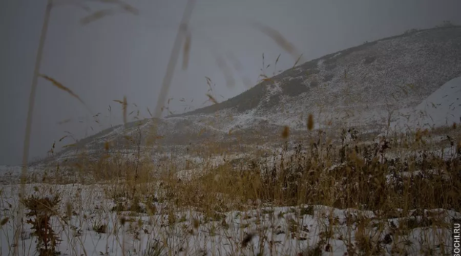  &copy;&nbsp;Фото из аккаунта www.instagram.com/funsochi