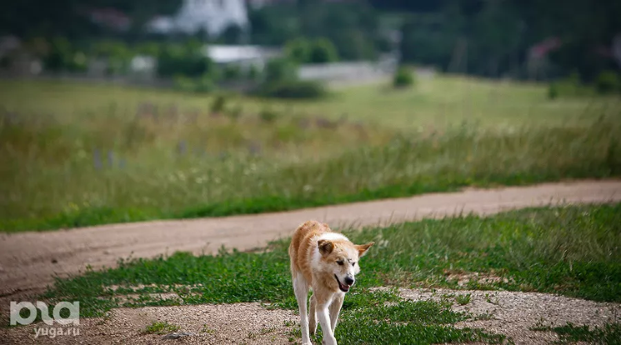  &copy;&nbsp;Влад Александров, ЮГА.ру
