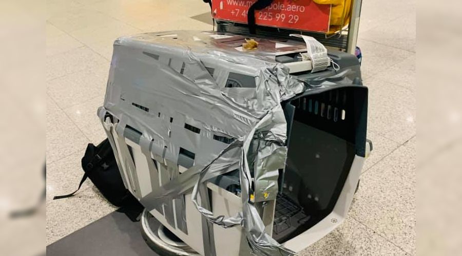  © Фото со страницы facebook.com/ohetrye