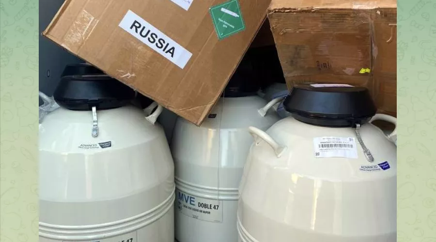 Контейнеры со спермой быка, не пропущенные сочинской таможней из Казахстана &copy;&nbsp;Скриншот публикации в телеграм-канале &laquo;Любимый Сочи&raquo;, T.me/love_sochi